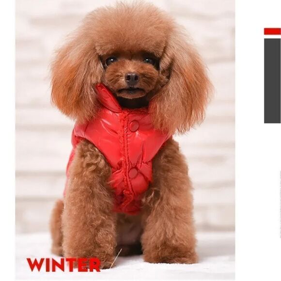 NWT Dog Winter Puffer Jacket Fleece inside Snaps Sz XS Chihuahua Small Dog Gift - Picture 4 of 12